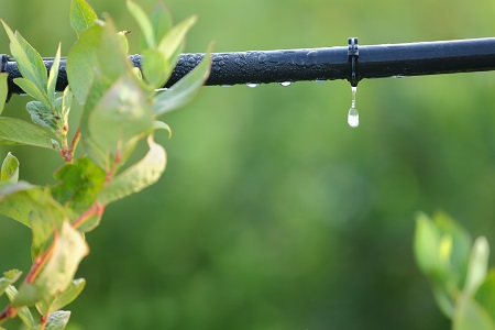 DRIP