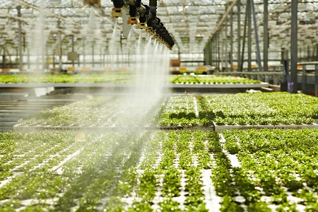 Agriculture