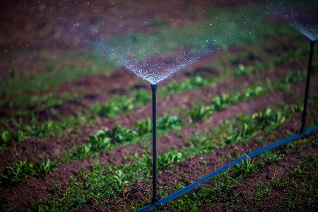 Agriculture