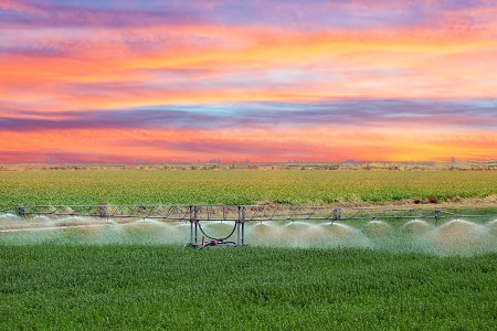 Agriculture